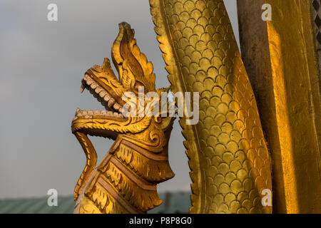 Golddrachenmündung im Kloster Popa, Myanmar (Birma) Stockfoto