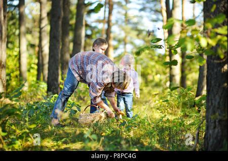 Großmutter und ihr zwei kleine Enkelkinder Pilze sammeln im Wald Stockfoto