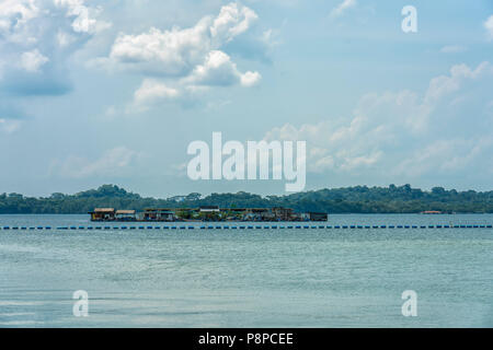 Singapur - Juli 8,2018: Pasir Ris Park. Fischzucht im Wasser. Singapur. Pasir Ris Park ist ein Beach Park, Ope in dem Teil von Singapur. Stockfoto