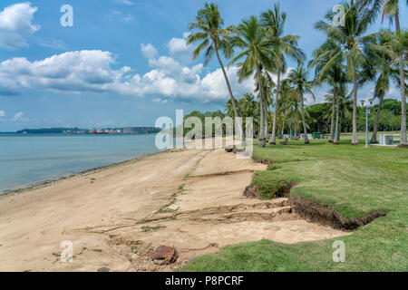 Singapur - Juli 8,2018: Pasir Ris Park. Tropical Beach in Park. Pasir Ris Park ist ein Beach Park in der Teil von Singapur, das 1989 eröffnet wurde. Stockfoto