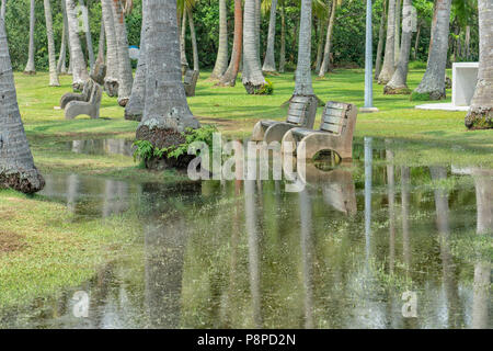 Singapur - Juli 8,2018: Pasir Ris Park. Überfluteten Gebiet mit parkbänken. Pasir Ris Park ist ein Beach Park befindet sich in dem Teil von Singapur, die geöffnet Stockfoto