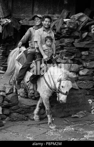 Ein Mönch reitet auf einem Pferd mit Vater und Sohn in BIHI im Bereich buddhistischen NUPRI - um MANASLU Trekking, NEPAL Stockfoto