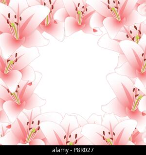 Rosa Lilie Blume Grenze isoliert auf weißem Hintergrund. Vector Illustration. Stock Vektor