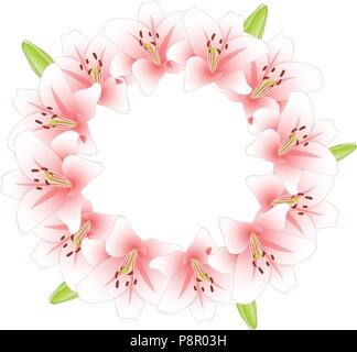 Rosa Lilie Blume Kranz isoliert auf weißem Hintergrund. Vector Illustration. Stock Vektor