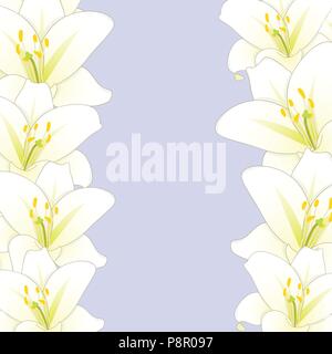 Weiße Lilie Blume Grenze isoliert auf lila Hintergrund. Vector Illustration. Stock Vektor