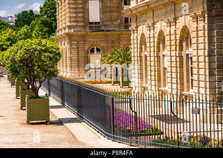 Die luxemburgische Palace im Jardin du Luxembourg in Paris, Frankreich Stockfoto