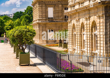 Die luxemburgische Palace im Jardin du Luxembourg in Paris, Frankreich Stockfoto