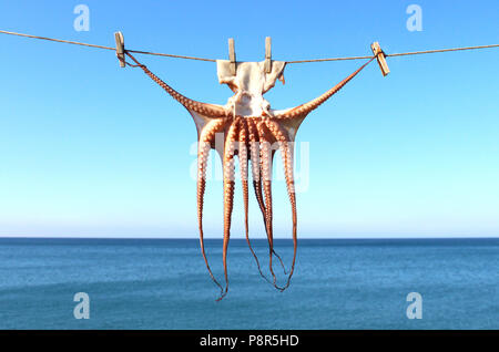Das Trocknen von squid in Griechenland, Meer im Hintergrund Stockfoto