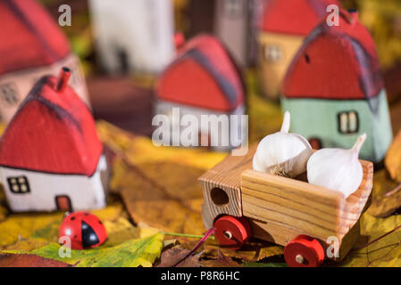 Spielplatz für Kinder, Anordnung von bemalten Spielzeug Holzhäuser, Lkw mit Knoblauch, Marienkäfer auf der Blätter im Herbst. Kindheit Konzept Stockfoto