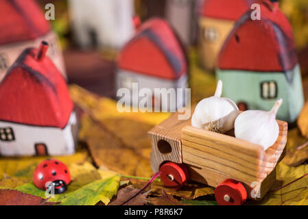 Spielplatz für Kinder, Anordnung von bemalten Spielzeug Holzhäuser, Lkw mit Knoblauch, Marienkäfer auf der Blätter im Herbst. Kindheit Konzept Stockfoto