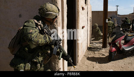 180711-O-N 0842-3001 MARINE CORPS BASE CAMP Pendleton, Calif (Juli 11, 2018) Mitglieder des Kanadischen 2 Bataillon Royal 22e Régiment zurück Brand während Infanterie Immersion Training auf der Biennale der Pacific Rim (Rimpac) Übung, Marine Corps Base Camp Pendleton, Juli 11. 25 Nationen, 46 Schiffe, 5 U-Boote, über 200 Flugzeuge, und 25.000 Mitarbeiter beteiligen sich an Rimpac vom 27. Juni bis 2. August in und um die hawaiischen Inseln und Südkalifornien. Die weltweit größte internationale maritime Übung RIMPAC bietet eine einzigartige Ausbildung während der Förderung und Sus Stockfoto