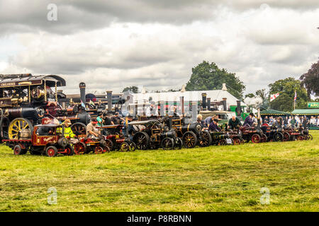 Miniatur Zugmaschinen auf Anzeige an astle Park steam Festival Chelford, Cheshire, Großbritannien Stockfoto