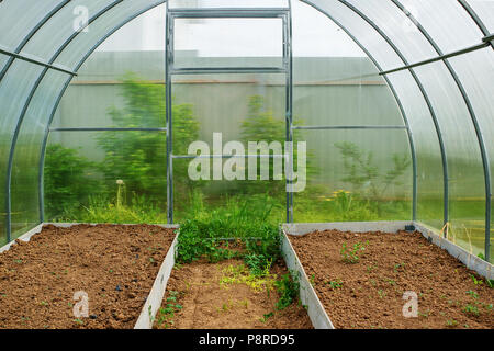 Wachsendes Gemüse in einem Gewächshaus im Land. Hohe Garten für die Anpflanzung von Gemüse. Stockfoto