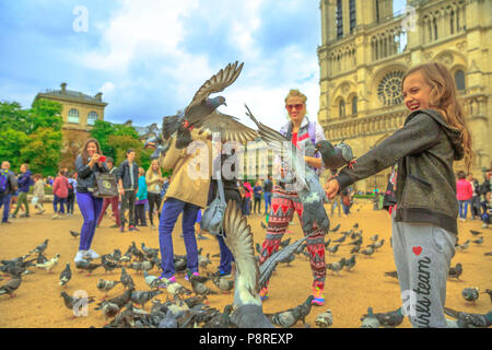 Paris, Frankreich, 1. Juli 2017: glückliches Kind füttert Tauben in Notre Dame Platz voll von Menschen. Junge tourist genießt in Paris. Beliebtes Touristenziel in der französischen Hauptstadt. Die Kathedrale im Hintergrund. Stockfoto