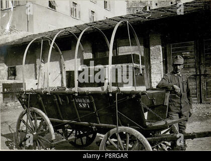 . 49 Bagagewagen der Artillerie-Messabteilung 506, Trient (BildID) 15622969 Stockfoto