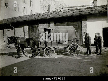 . 49 Bagagewagen der Artillerie-Messabteilung 506, Trient (BildID) 15622976 Stockfoto