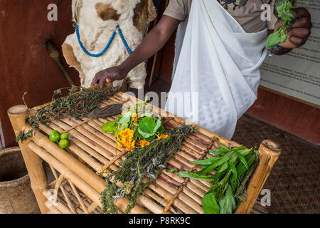 Ruanda, Ruhengeri, Musanze, iby "Iwacu Cultural Village Stockfoto