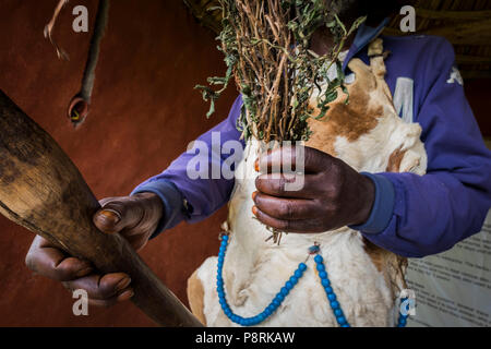 Ruanda, Ruhengeri, Musanze, iby "Iwacu Cultural Village Stockfoto