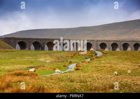 Das VEREINIGTE KÖNIGREICH, England, Yorkshire, Batty Moos, Ribblehead Viadukt über Settle Carlisle Railway Line Stockfoto