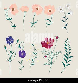 Vektor mit wilden Blumen. Stock Vektor