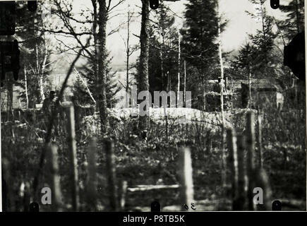 . 55 Beobachtungstand und eigene Hauptstellung westlich Dzwiniacz, 30. April 1917. (BildID) 15590485 Stockfoto