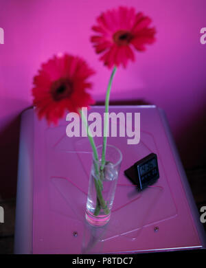 Zwei rote Blumen in einer Glasvase auf ein modernes Glas überstieg Bettgerät gegen eine rosa Wand Stockfoto