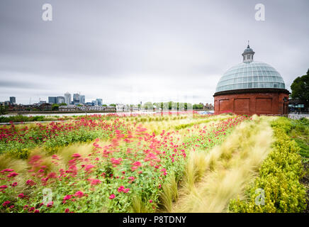 Lange Belichtung auf die Greenwich foot Tunnel Kuppel über der Themse Canary Wharf suchen, mit Blumen in den Wind im Vordergrund. Stockfoto