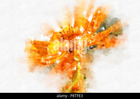 Abstrakte orange Blumen blühen auf farbenfrohen Aquarell Hintergrund und Digitale Illustration Bürste Art. Stockfoto