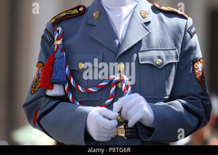 Tschechische Soldaten der Tschechischen Republik Stockfoto