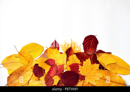 Blick von oben auf die vielen schönen Blätter im Herbst isoliert auf weißem Stockfoto