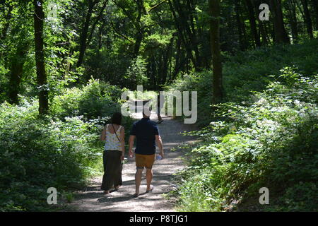 Blaustein Stockfoto