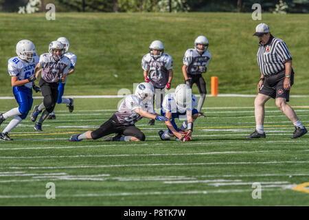 Dramatische, bunte Aktion Foto der Jungen Bantamfußball in Calgary, Alberta, Kanada Stockfoto