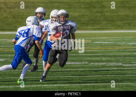 Dramatische, bunte Aktion Foto der Jungen Bantamfußball in Calgary, Alberta, Kanada Stockfoto