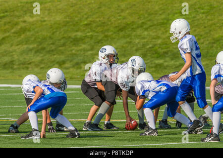 Dramatische, bunte Aktion Foto der Jungen Bantamfußball in Calgary, Alberta, Kanada Stockfoto