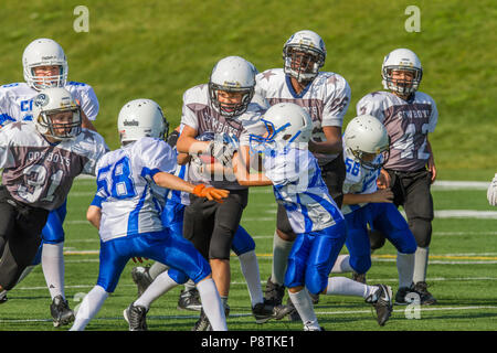 Dramatische, bunte Aktion Foto der Jungen Bantamfußball in Calgary, Alberta, Kanada Stockfoto