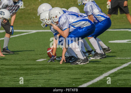 Dramatische, bunte Aktion Foto der Jungen Bantamfußball in Calgary, Alberta, Kanada Stockfoto