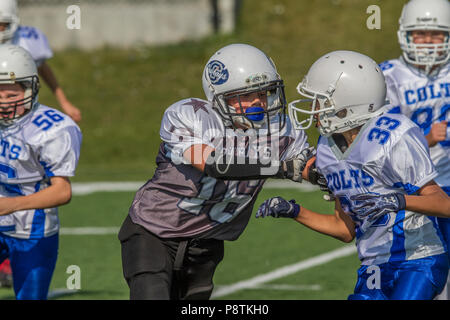 Dramatische, bunte Aktion Foto der Jungen Bantamfußball in Calgary, Alberta, Kanada Stockfoto