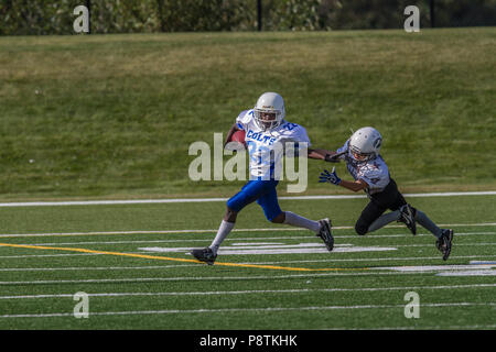 Dramatische, bunte Aktion Foto der Jungen Bantamfußball in Calgary, Alberta, Kanada Stockfoto