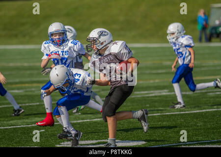 Dramatische, bunte Aktion Foto der Jungen Bantamfußball in Calgary, Alberta, Kanada Stockfoto