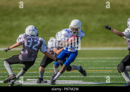 Dramatische, bunte Aktion Foto der Jungen Bantamfußball in Calgary, Alberta, Kanada Stockfoto