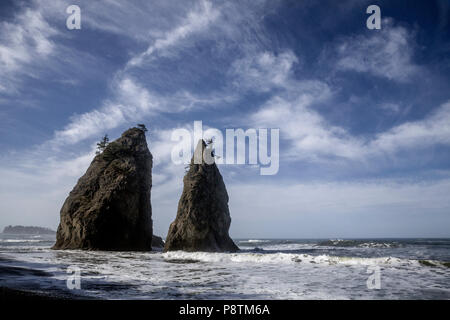 WA 14555-00 ... WASHINGTON - Seastacks entlang Rialto Beach in Olympic National Park. Stockfoto