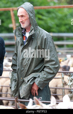 Builth Wells, Powys, UK. 13. Juli 2018. Schafhalter kommen für den Regen mit regenjacken bei der wöchentlichen Schafmarkt in Builth Wells, Powys, Wales, UK vorbereitet. © Graham M. Lawrence/Alamy Leben Nachrichten. Stockfoto