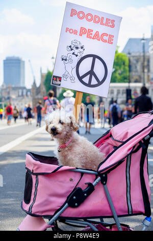 London, Großbritannien. 13. Juli 2018. Zehntausende von Menschen auf den Straßen von London gegen uns Präsident Donald Trump Besuch in Großbritannien zu protestieren. Im Bild: Eine Pudel sitzt in einem Buggy mit einem Pudel für Frieden Plakat. Credit: Mark Phillips/Alamy leben Nachrichten Stockfoto