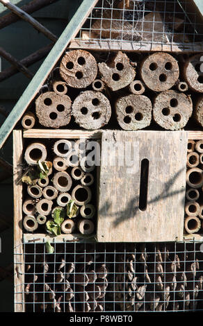 Biene Insekt Hotel mit Nester von Blatt cutter Bienen gemacht Stockfoto