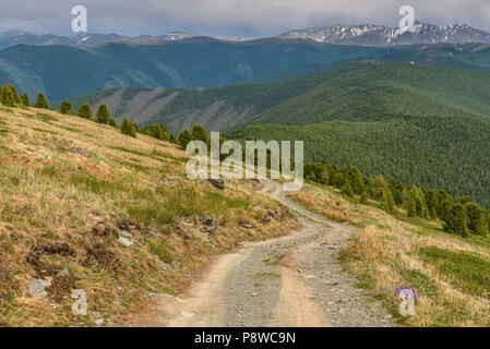 Rocky Schmutz steile kurvenreiche Straße durch einen Pass auf die Spitze des Berges mit Blumen auf der Straße Stockfoto