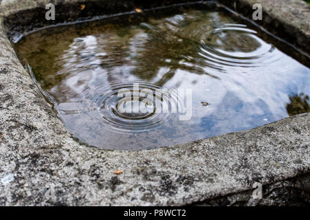 Wellen von Regentropfen im Wasser von einem Garten Vogelbad. Stockfoto