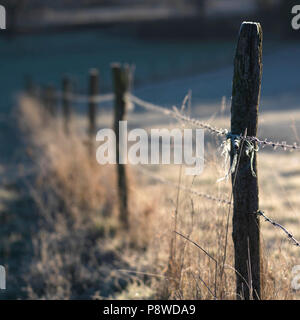 Stacheldrahtzaun in einem Feld. Holzpfählen und Stacheldraht frosted zwischen zwei Feldern. Unscharfe erschossen. Der Auvergne. Frankreich Stockfoto