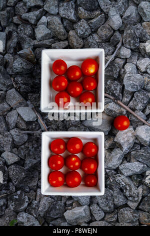 Plum Tomaten aus weisser Keramik Geschirr Stockfoto