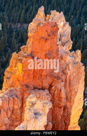 Aqua Canyon Bryce Canyon National Park in Utah Stockfoto