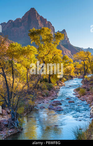 Kayenta Weg entlang des Virgin River im Zion National Park in Utah. Stockfoto